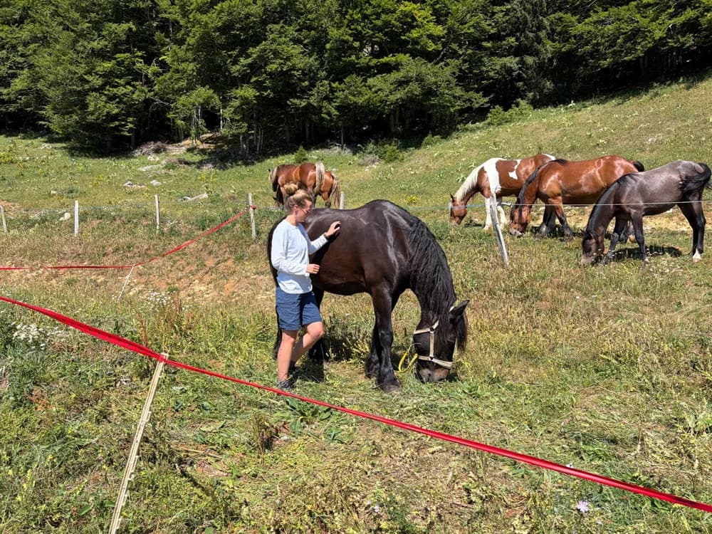 Une personne auprès d’un cheval dans les pâturages