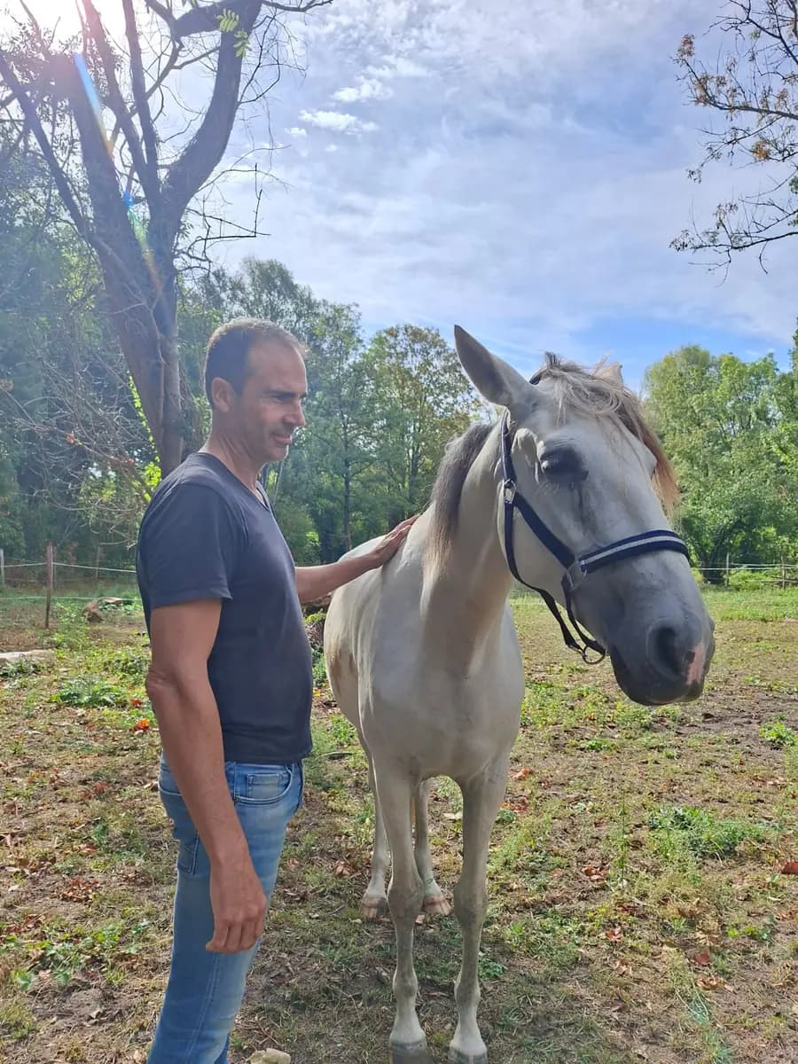 Une personne auprès d’un cheval blanc dans un pré