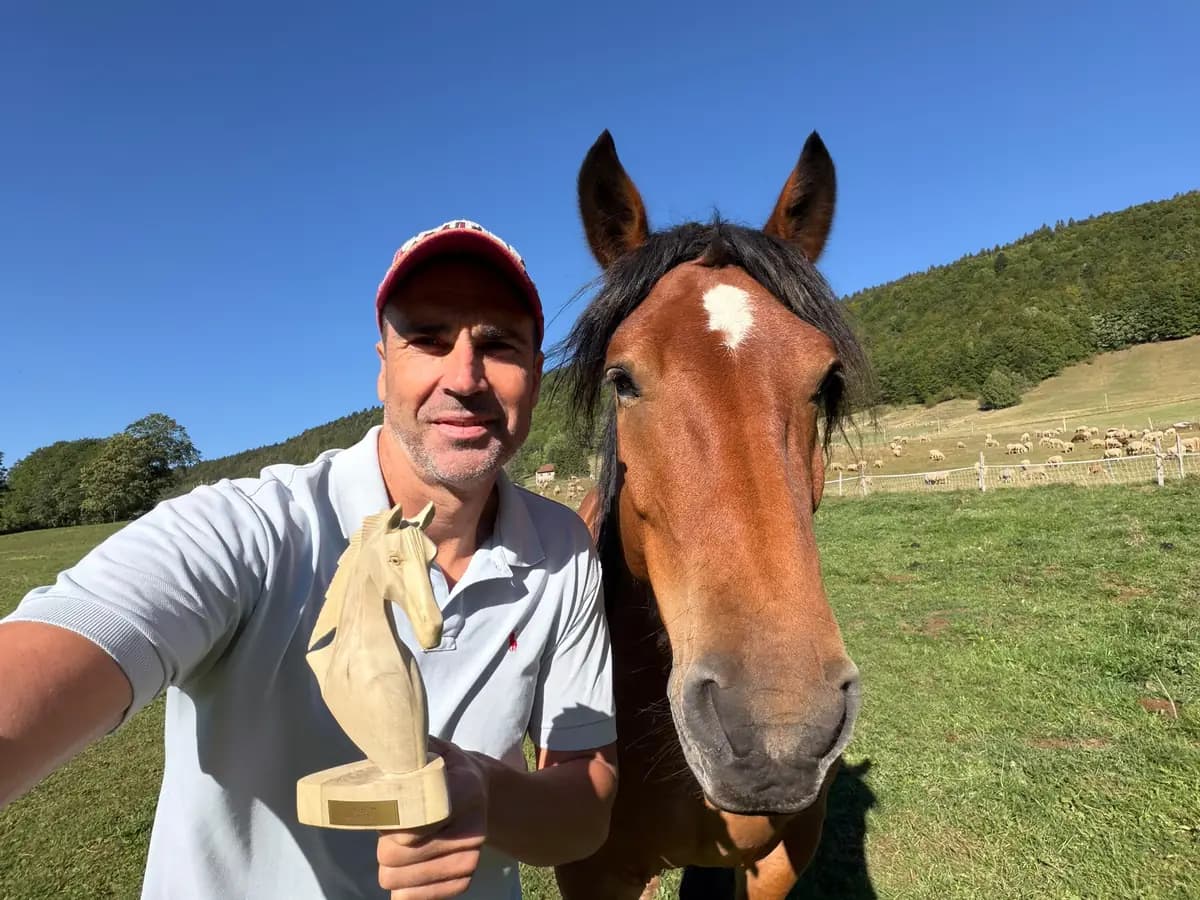 Nicolas Guitton auprès d’un cheval comtois dans un pâturage