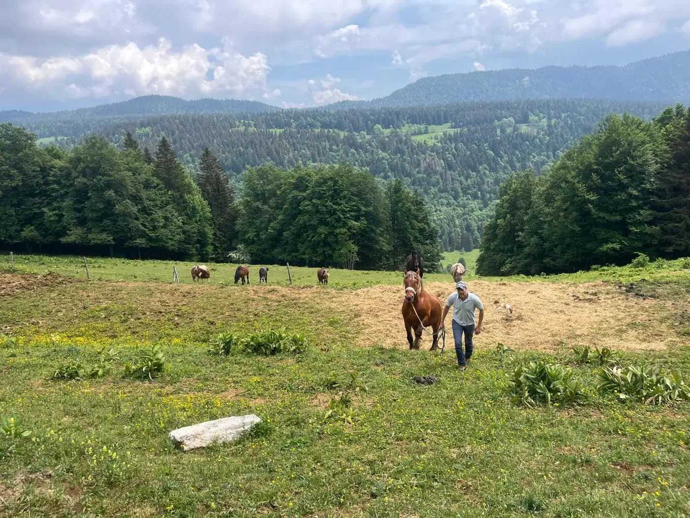 Une personne et un cheval dans un pâturage ouvert sur les montagnes du Jura